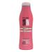 Recamier Professional Salon In Pro Color Guard Hair Shampoo 10.1 fl. oz. (34516)