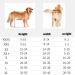 Dog Wheelchair for Back Legs 5 Types Cart Pet Wheelchair for Handicapped Hind Legs Small Dog Cat/Doggie/Puppy Walk Stainless Steel XXS-M (Size : XS) X-Small - Buy Online on GoSupps.com