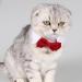 Diafas Adjustable Cotton Pet Collar for Dogs & Cats - Red Bow Tie Formal Bowknot - Perfect for Puppies & Kittens | International Shipping - Buy Online on GoSupps.com
