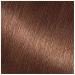 Garnier Nutrisse Nourishing Creme Hair Color 60 Light Natural Brown (Acorn) - 2 Count Pack - Buy Online on GoSupps.com