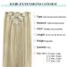Doores Clip-in Real Hair Extensions 22 Inch - Ashblond Highlights & Platinum Blonde - 120g Remy Hair - 7 Pieces 55cm - Buy Online on GoSupps.com
