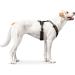 HUNTER Harness Maldon 53-71/M Black/Grey - Premium Adjustable Dog Harness for Comfortable International Shipping - Buy Online on GoSupps.com