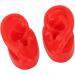 Simulated Couple Human Ear Model - Soft Silicone Ear for Hearing Support & Acupuncture Demonstration (Red) | International Shipping Available - Buy Online on GoSupps.com