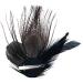 Peacock Hair Clip Natural Fascinator Barrette with Sparking Rhinestone  - Buy Online on GoSupps.com
