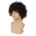 Wiwige Men's Short Curly Black Synthetic Rocker Wig for Halloween Costume - Wet Look Wig - Buy Online on GoSupps.com