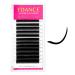 TDANCE Classic Lash Extensions Flat Lashes Eyelash Extensions 0.15mm C Curl Ellipse Eyelash Extensions 8-15mm Mixed Black Matte Individual Lashes Salon Use(Flat C-0.15 8-15mm) 8-15 mm 0.15-C-Flat