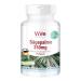 Saw Palmetto Extract 350 mg - 60 Capsules - Vegan - 25% Fatty Acids | Quality from Germany by ViVe Supplements