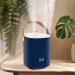 Humidifiers for bedroom 1.2L Portable Cool Mist Humidifiers Auto Shut-Off USB Desk Humidifier with Warm Night Light and Dual Nozzle Design for Bedroom Travel Office Blue