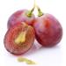 Greenfood OPC Grape Seed Extract 450mg - High Dose Vegan Capsules (120 Count) for Optimal Health - Buy Online on GoSupps.com