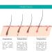 Beautylines Eyelash Serum 3ml - Boost Eyelashes & Eyebrows Enhance Extensions & Growth - Buy Online on GoSupps.com