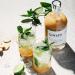 GIMBER Organic Ginger Concentrate 500 ml | Alcohol-Free Organic Drink Made from Ginger Lemon and Herbs | Premium Ginger Essence - Buy Online on GoSupps.com