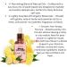 The Blush Spot - Lemon Yoni Oil for Women Natural Feminine Care for pH Balance Ingrown Hair Prevention & Moisturizing Sweet Scented Intimate Oil NO Flavor - Buy Online on GoSupps.com