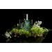 Nest New York Verde Eau De Parfum Spray 1.7fl oz/ 50ml - Buy Online on GoSupps.com