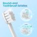 NICEBLE Sonic Toothbrush Replacement Heads - 4-Pack Standard Size - Buy Online on GoSupps.com