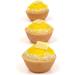 CROC'IN - Sweet Premium Tartlet Shells - Edible Mini Pastry Cases For Dessert - Artisanal Confection - 240 Pieces Box - Ideal For Catering Or Restaurants - Buy Online on GoSupps.com