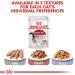 Royal Canin Kitten in Loaf 85g (Pack of 12) - Buy Online on GoSupps.com