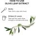 Comvita Olive Leaf Extract 16.9 fl oz - Natural Antioxidant & Immune Support - Buy Online on GoSupps.com