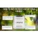 Unwind Aromatherapy Beeswax Candle - Patchouli & Cedarwood All-Natural & Non-Toxic Smokeless Air Cleaner Hand-Poured in USA - Buy Online on GoSupps.com