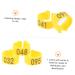 Kisangel 200 Pcs Pigeon Anklet Where Tag Pigeon Deterrent Spray Foot Ring for Pigeon Number Baby Pigeon Ring 1.3X1.3CMx2pcs Yellowx2pcs - Buy Online on GoSupps.com