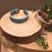 Cigmag Lymphatic Drainage Magnetic Ring - Copper Adjustable with Removal Tool and Gift Box - Tree of Life Design - Buy Online on GoSupps.com