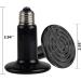 BOEESPAT 2-Pack Ceramic Heat Emitter 60W100W150W - Ideal Reptile Heat Lamp for Brooders, Coops, Turtles & Snakes - No Light, No Harm - Buy Online on GoSupps.com