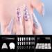 Alexnailart 500 Pcs French Acrylic Fake Nails Complete Cover Artificial Fingernails Set in 10 Sizes & 3 Colors with Box - Buy Online on GoSupps.com