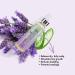 EDEN BodyWorks Lavender Aloe Hair Growth Oil (4 oz) - Vegan Scalp Treatment for Healthy Growth - Buy Online on GoSupps.com