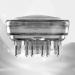 Oil Scalp Applicator Comb | Head Massage Brush | Hair Treatment Tools for Follicular Care - International Shipping - Buy Online on GoSupps.com