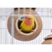 Birdhouse Parakeet Nest Coconut Shell Rope Weave Bird Breeding Nest for Budgie Parakeet Conure Canary Lovebird - Buy Online on GoSupps.com