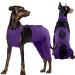 Kuoser dog body after op dog body after op body for dog castration male bitch recovery suit dog anti-wound licking op body dogs e-collar alternative for dogs dog lens protection bodysuit m purple