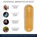 5G EMF Defense Dietary Supplement - Clear Endocrine Disruptors - 30ct | International Shipping Available - Buy Online on GoSupps.com