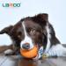Laroo Dog Toys: Durable Natural Rubber Squeaker Dog Ball Football for Small & Large Dogs - 6.5*8cm Orange - Buy Online on GoSupps.com