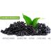 Elderberry Syrup for Adults IMMUNIA. Elderberry Concentrate with Elderflower Thyme and Peppermint. No Sugar Added. Delicious Taste. 24 Days/Bottle - Buy Online on GoSupps.com
