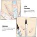 Didiseaon 3pcs No Smudge Eyeliner Liquid Eyeliner Waterproof Plastic Miss Household Retouching Pen - Buy Online on GoSupps.com