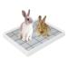 Kyaoayo rabbit cat toilet oversize pet toilet urine pan rabbit cage toilet puppy toilet tray for baby rabbits guinea pigs chinchillas ferret (XL)