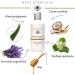BEES of BRITAIN - 99% Natural - Face Wash - Honey Lavender No Sulfates/Parabens. pH 5.5 Sensitive Skin. We Donate 5% of our Profit to Save Bees + Pollinators. 250ml - Buy Online on GoSupps.com