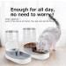 Eonpet 3.8L Automatic Cat and Dog Feeder & Water Dispenser with Travel Supply - Ideal for Pets - Buy Online on GoSupps.com