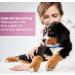 ADAPTIL Junior Calming Collar for Puppies - Reduce Crying & Whining and Improve Focus & Learning Dog Appeasing Pheromone Collar - (Puppy Calming Collar 1 Month Single Pack) - Buy Online on GoSupps.com
