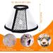 ZXUPOI Soft Plastic Elizabethan Collar for Cats & Puppies - Protective Pet Cone XS (15-18cm) | International Shipping Available - Buy Online on GoSupps.com