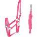 Buy PFIFF 102931 Pink Pony Halter and Rope Set - Durable Plastic Halter & Lead Rope for Ponies | International Shipping - Buy Online on GoSupps.com