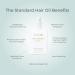 EVOLVh The Standard Hair Oil - Vegan Non-Toxic Clean Hair Care | 1.7 fl oz (50 ml) - International Shipping Available - Buy Online on GoSupps.com