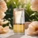 Lattafa Al Nashama for Unisex - 3.4 oz EDP Spray - Buy Online on GoSupps.com