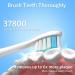 BESTEK Electric Toothbrush - Powerful Rechargeable Toothbrush with Multiple Modes Smart Timer & 6 Replacement Brush Heads - International Shipping Available - Buy Online on GoSupps.com