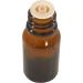 Satsuma Fragrance Oil - 10ml Premium Aromatherapy Diffuser Oil | Eclectic Lady - Long Lasting International Shipping Available - Buy Online on GoSupps.com