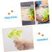 Alipis 250 Pcs Fake Vegetables Small Bean Sprouts Decorations Plastic Elastic Toy Light Greenx5pcs 9x1cmx5pcs - Buy Online on GoSupps.com
