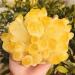 Home Decoration 600-700g New Find Yellow Phantom Quartz Crystal Cluster Specimen 1pc Stones