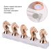 Nail Horse Head Display Stand - Exquisite ABS Nail Practice Rack for Manicure Shop (Rose Gold) | International Shipping Available - Buy Online on GoSupps.com