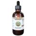 Barberry Alcohol-Free Liquid Extract Organic Barberry (Berberis Vulgaris) Dried Root Bark Glycerite Hawaii Pharm Natural Herbal Supplement 2 oz 2 Fl Oz (Pack of 1)