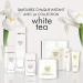 Elizabeth Arden White Tea Mandarin Blossom Body Cream 400ml | Nourishing Fruity Floral Lotion for Women - Buy Online on GoSupps.com