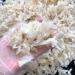 Bird's Nest Shredded Broken Bird's Nest Broken Swallow Bird's-nest bird's-nest Edible Bird's Nest Edible Birds' Nest Cubilose edible Birds Nest cubilose (20g) - Buy Online on GoSupps.com